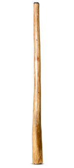 Jesse Lethbridge Didgeridoo (JL204)